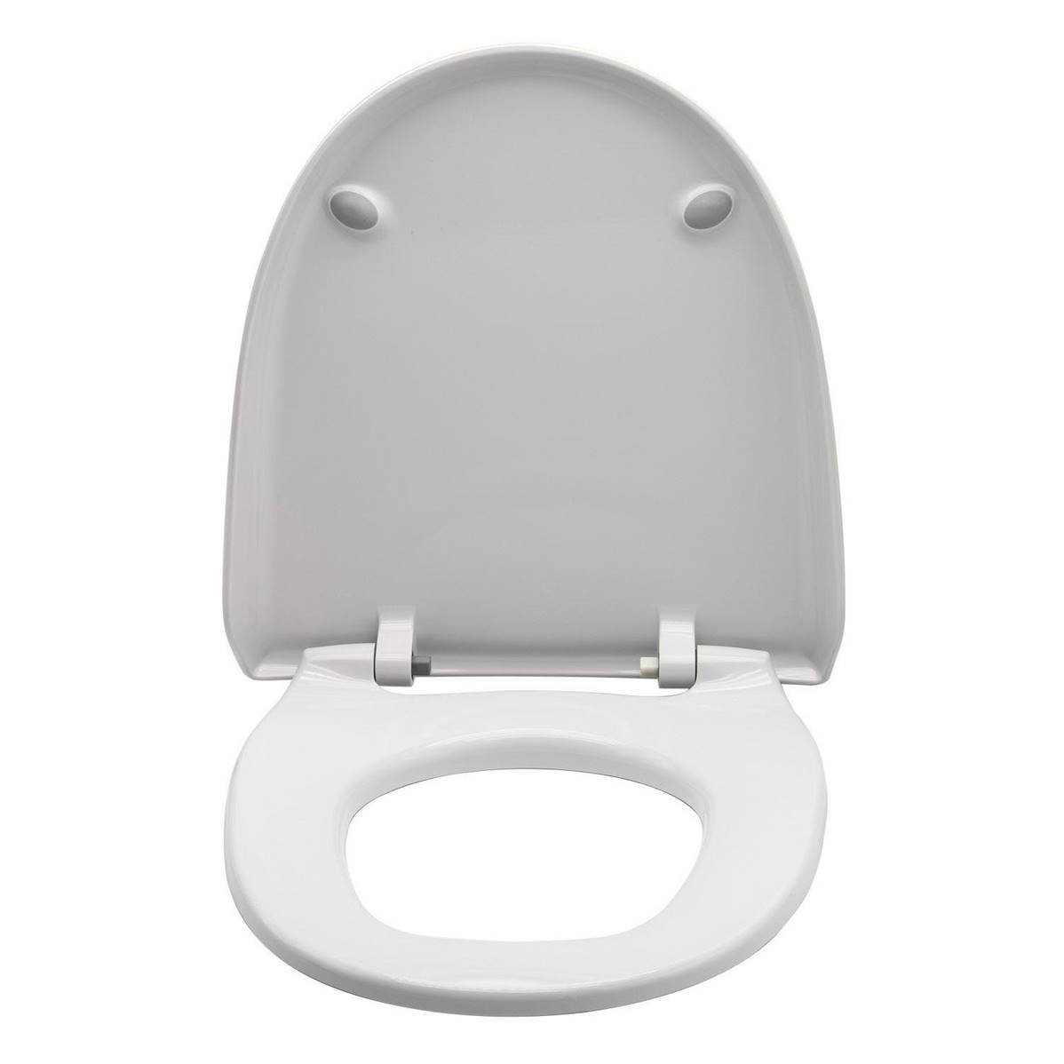 Geberit Seat and Lid for AquaClean 8000plus/8000 250.034.11.1