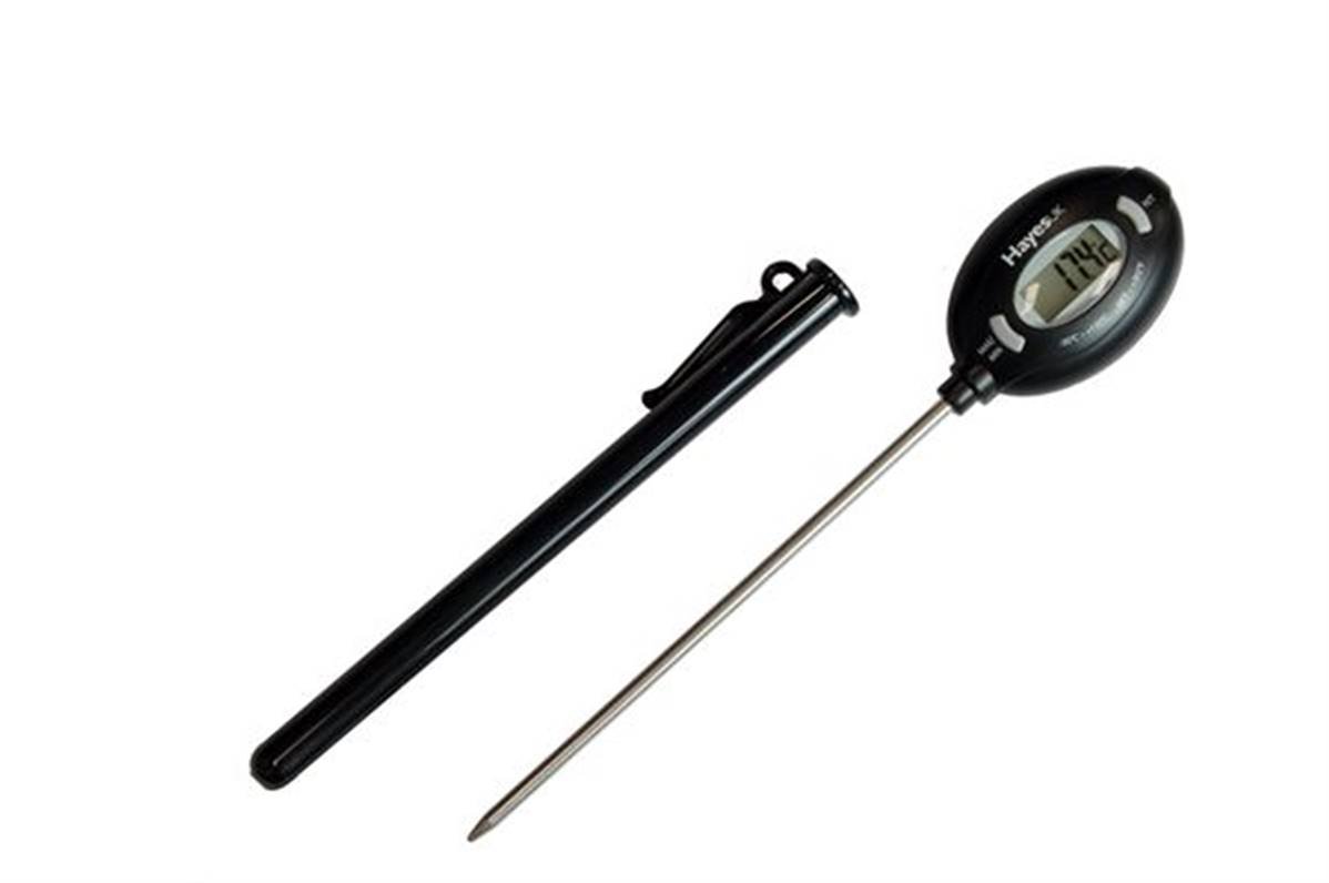 Arctic Hayes Stem Thermometer AH02