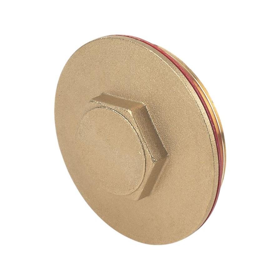 2-1/4" Brass Immersion Heater Plug & Washer 10099503