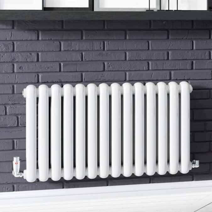 DQ Heating Cassius Horizontal 550mm x 993mm White 3444BTU CASSIUS550/14-W